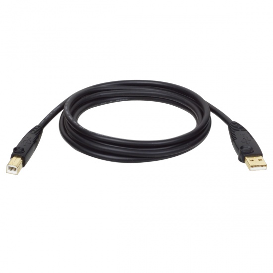 Tripp Lite 10FT USB2.0 Hi-Speed USB A Male to USB B Male Cable Image