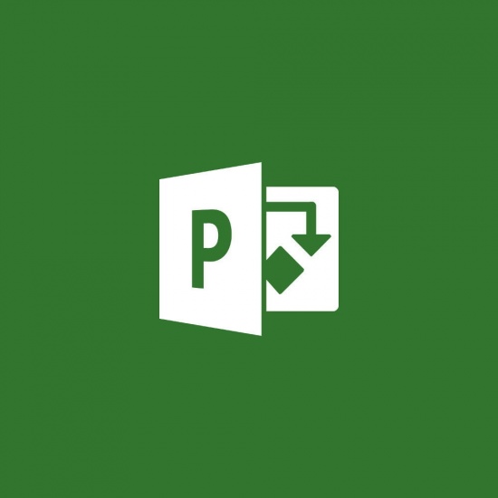 Microsoft Project Standard 2019 (1x license software download) Image