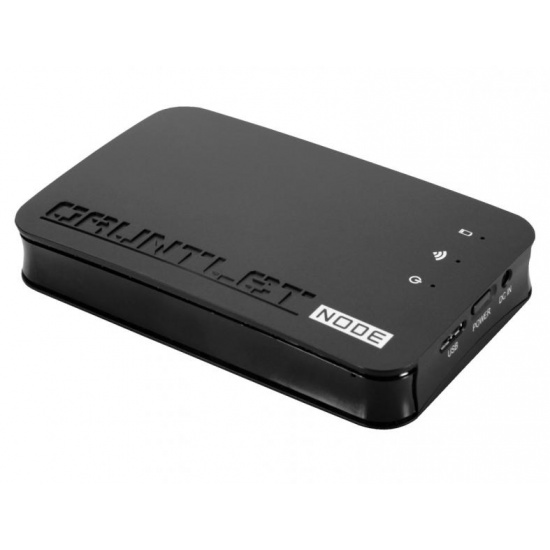 Patriot Gauntlet Node Portable Wireless Storage PCGTW25S-INT Image