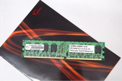 1GB G.Skill DDR2 PC2-4200 CL5 NT Series module