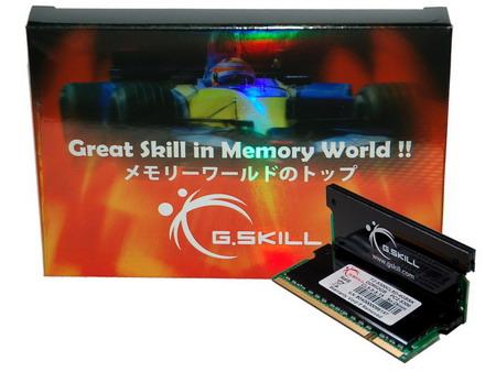 4GB G.Skill DDR2 SO-DIMM PC2-5300 667MHz Dual Channel kit CL5 SK Series w/alu heatsinks