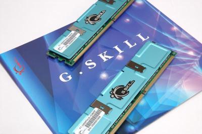 1Gb G.Skill ZX Series DDR PC3200 (DDR400) 2-3-3-6 Dual Channel kit