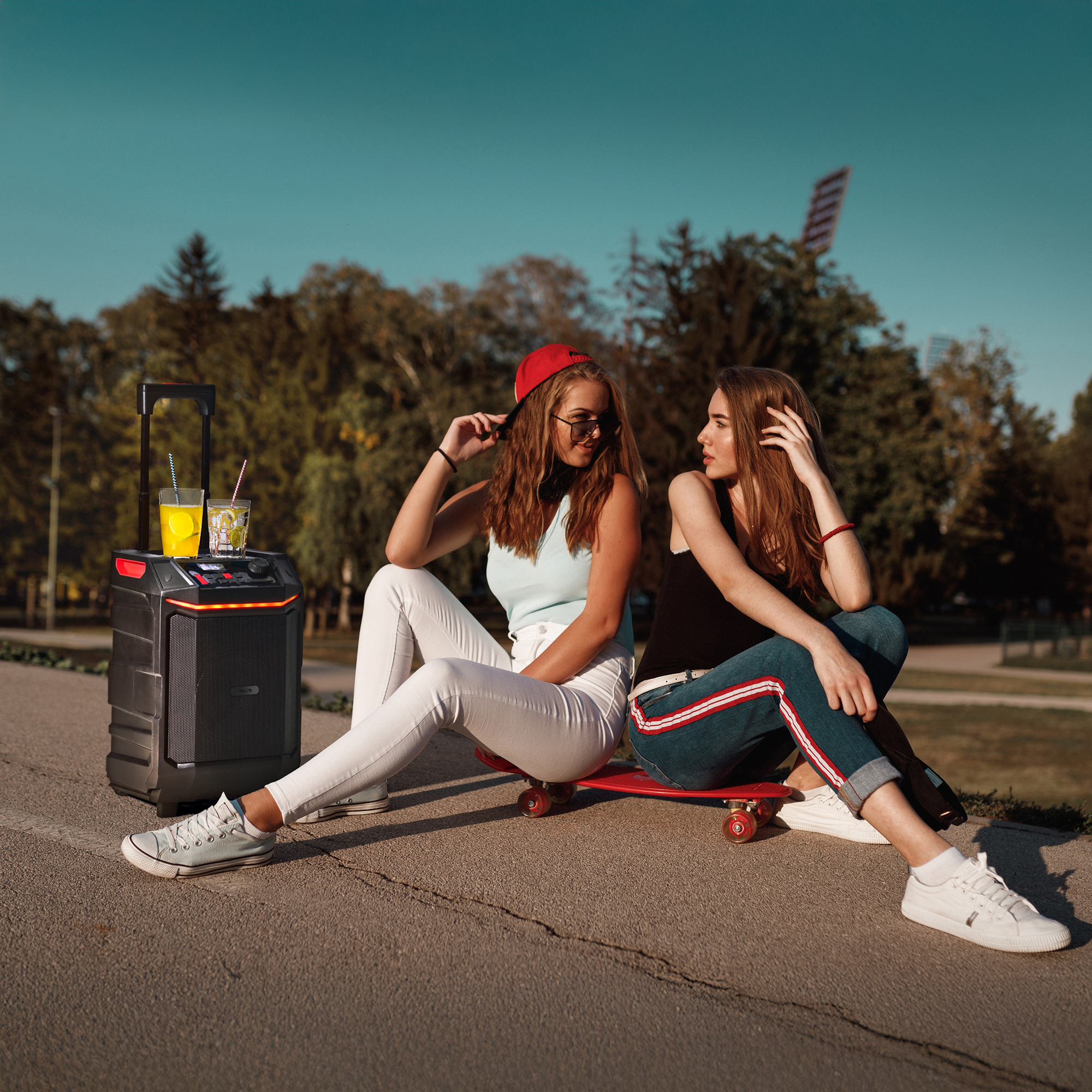 NGS Wild Bash, 300W Portable Wireless and Waterproof BT Speaker with Removable Battery