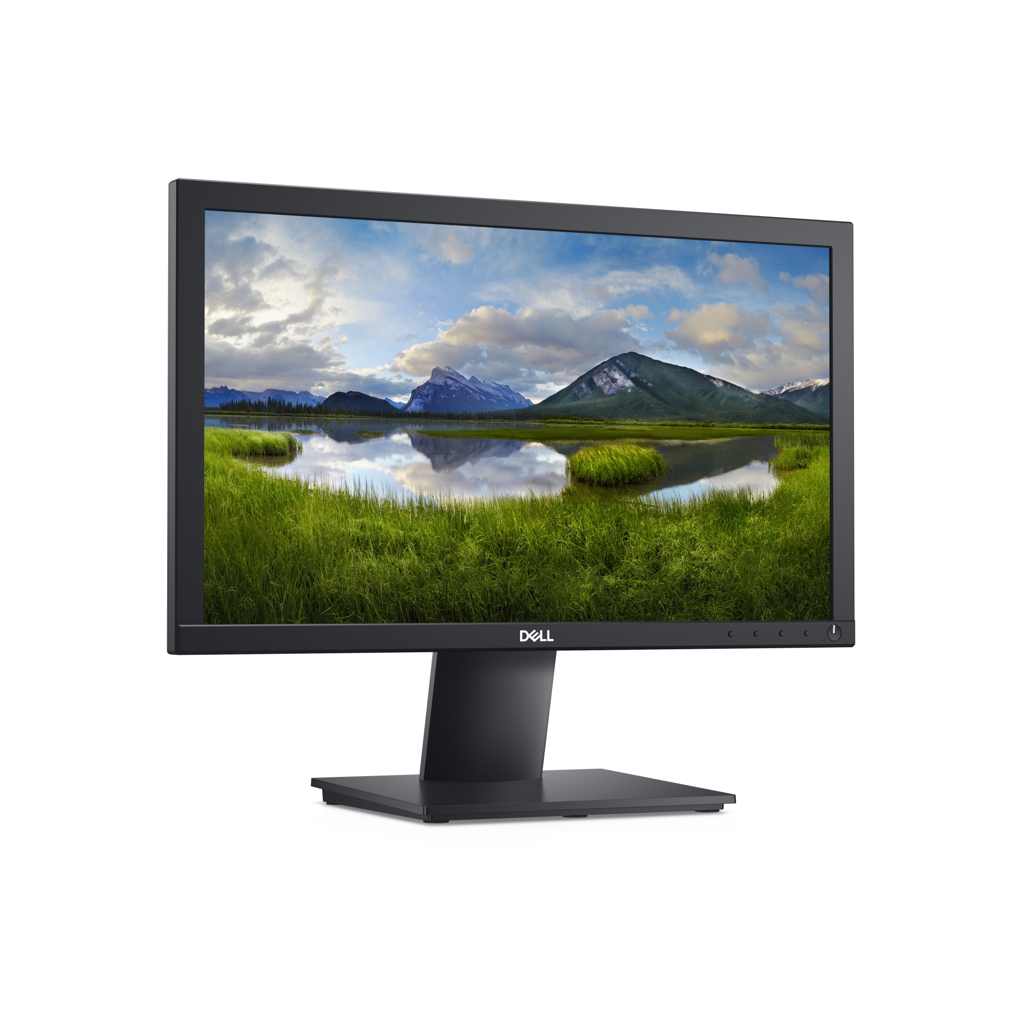 dell pc monitor 19 inch