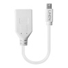 Lindy Adapter Cable Mini-DP (M)/DP (F) Premium shielded Image