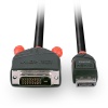 Lindy 2m DisplayPort to DVI Cable Image