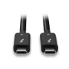 Lindy 1m Thunderbolt 4 Cable, 40Gbps, passive Image