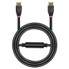 Lindy 30m Active HDMI 10.2G Cable Image