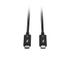 Lindy 1m Thunderbolt 5 Cable, 80Gbps, Passive Image