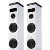 NGS 50W Wireless BT Tower Speaker with Stereo Output and Remote Control, Sky Charm White Image