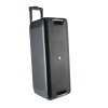 NGS Wild Rave 2, 300W Portable Wireless BT and TWS Speaker with USB Reader and AUX input Image