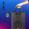 NGS Wild Rave 2, 300W Portable Wireless BT and TWS Speaker with USB Reader and AUX input Image