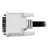 StarTech 1FT DVI-D Male to DVI-D Male Dual Link Cable - Black Image