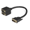 StarTech 1FT DVI-D Female to DVI-D Male Dual Video Splitter Shielded Cable - Black Image