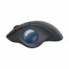 Logitech Ergo M575 Business Mouse - Graphite