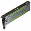 PNY Tesla T4 NVIDIA 16GB GDDR6 Graphics Card Image