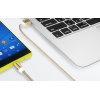 AData Android USB to Micro USB Charging/Sync Cable, 100cm - Gold Image
