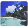 Allsop NatureSmart d'Argent Beach Mouse Pad
