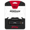 500GB Kingston Technology FURY Renegade M.2 PCI Express 4.0 Solid State Drive