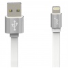PQI i-Cable Lightning to USB Cable, Data Sync and Charging, 100cm Metallic Silver Edition Image