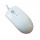 Seal Shield Silver Storm Medical Grade Optical Mouse 800 DPI - White